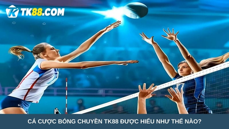 Cá cược bóng chuyền 