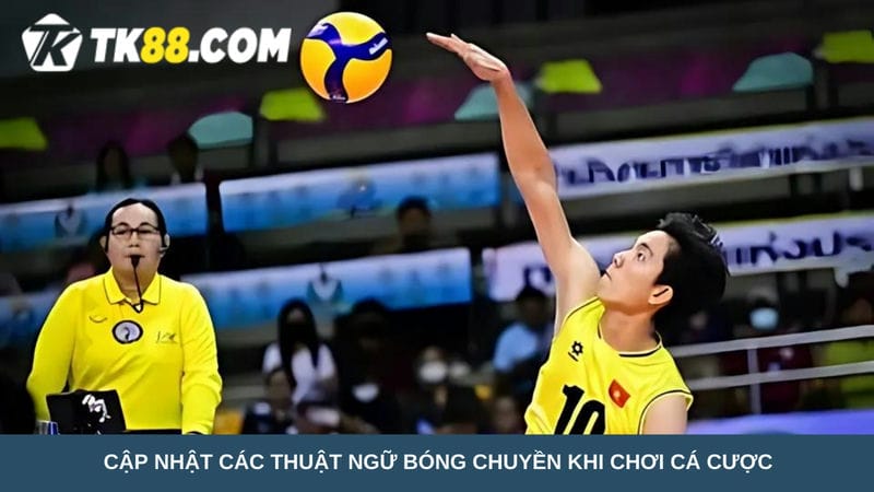 Cập nhật các thuật ngữ bóng chuyền 