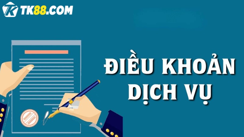 Các quy định điều khoản về sở hữu trí tuệ