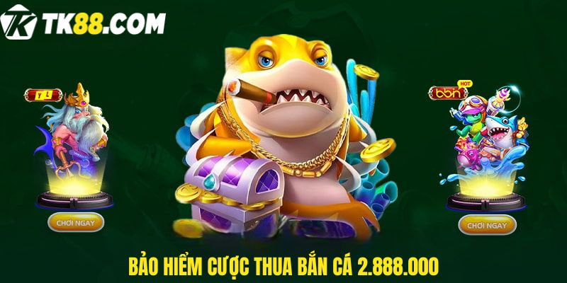 Bảo hiểm cược thua bắn cá 2.888.000